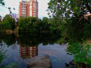 Reflection of trees in water