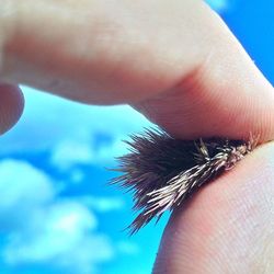 Close-up of cropped hand