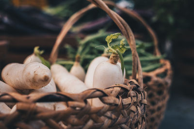 Close-up of dead plant in basket