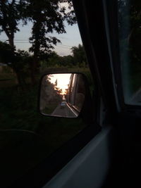 Reflection of trees in side-view mirror