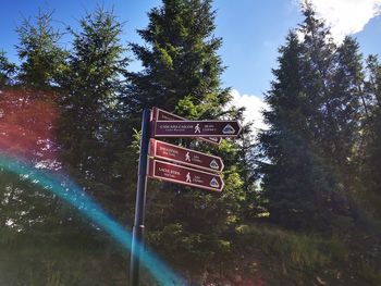 Low angle view of information sign on trees in forest against sky