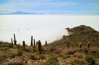 Scenic view of desert against sky