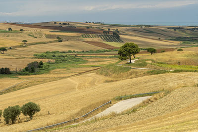 Scenic view of agricultural field against sky