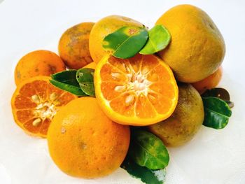 Close-up of oranges against white background