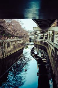 Bridge over river by trees