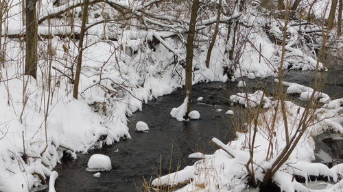 Snow covered bare trees by frozen lake