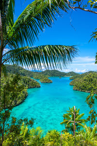 Palm trees by sea against blue sky