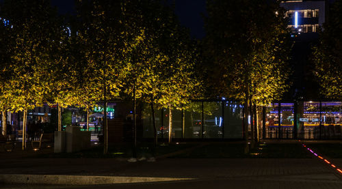 Illuminated street lights by trees in city at night