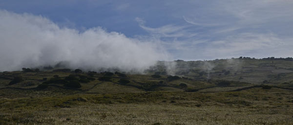 Panoramic view of agricultural field against sky