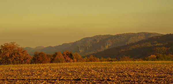 Scenic view of field against clear sky