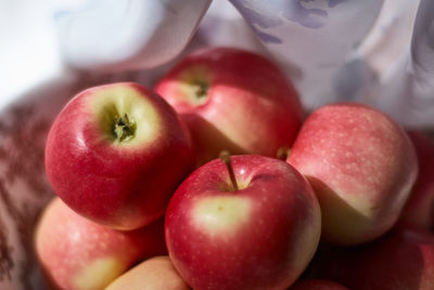 Close-up of hand holding apple