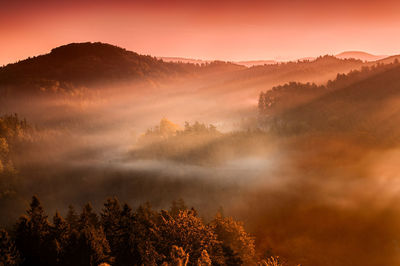 Scenic view of trees against sky during sunset