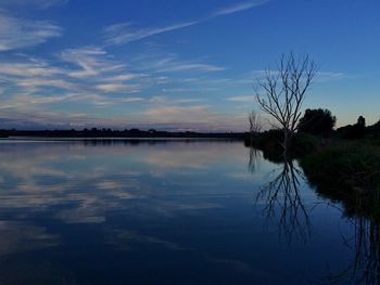 Reflection of trees in calm lake