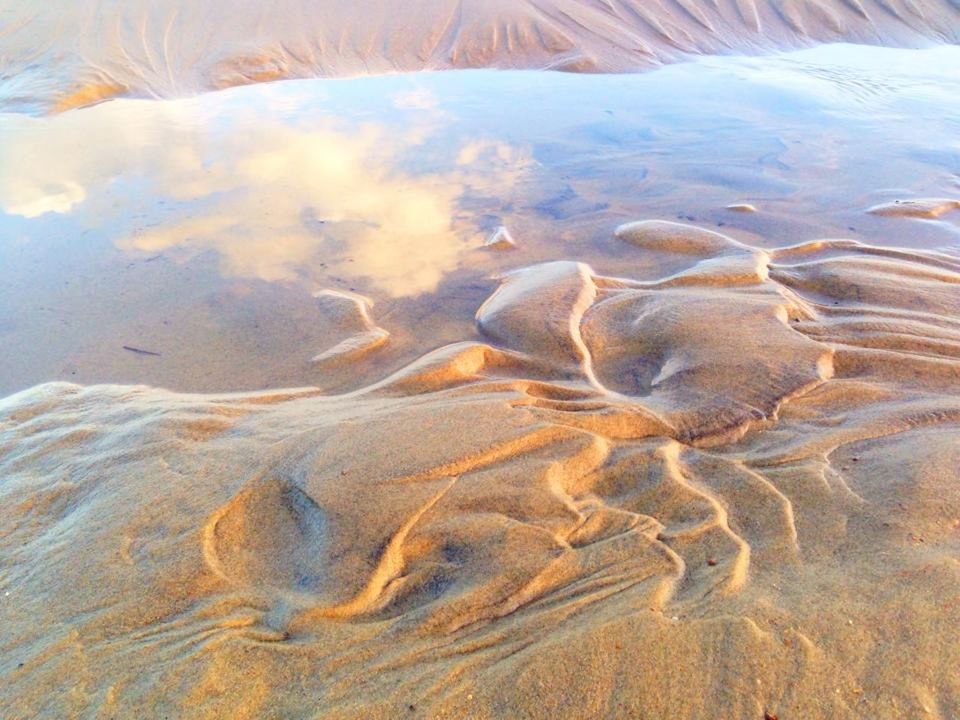 water, animal themes, animals in the wild, sand, nature, wildlife, beauty in nature, natural pattern, sea life, swimming, sea, tranquility, high angle view, underwater, rippled, undersea, beach, tranquil scene, outdoors