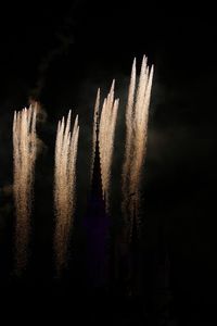View of fireworks against sky at night