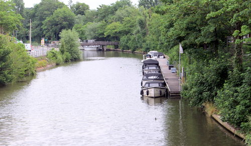 Bridge over river against trees