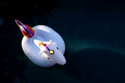 High angle view of balloon floating on water