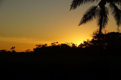 Silhouette trees against sky during sunset