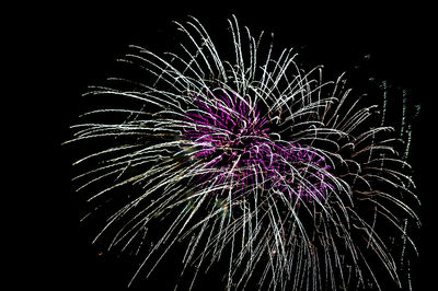 Low angle view of firework display against sky at night