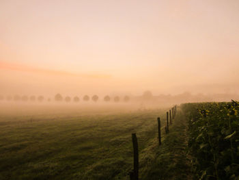 Scenic view of farm field against sky during sunrise on foggy weather