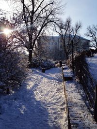 Bare trees on snow covered landscape