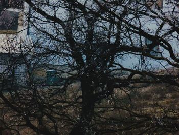 Low angle view of bare tree against sky