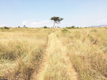 Scenic view of land against sky