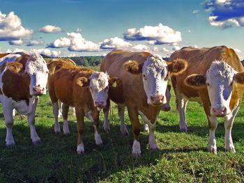 Cows on landscape against sky