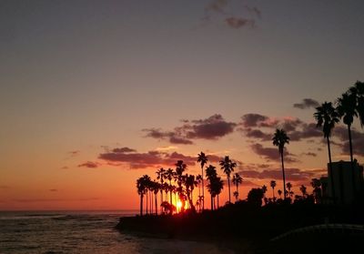 Silhouette palm trees on beach against sky during sunset