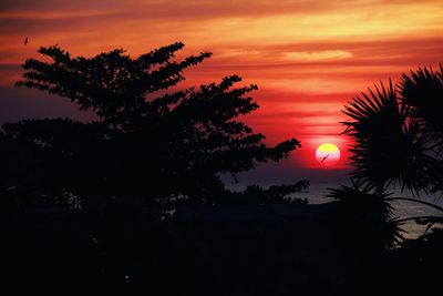 Silhouette trees against sky during sunset