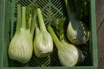 Close-up of fennel in crate