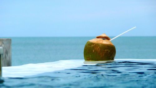 Coconut drink in swimming pool