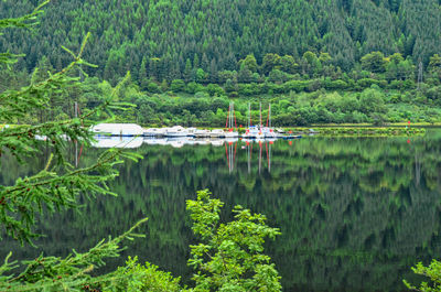 Scenic view of lake by trees