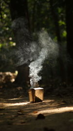 Smoke emitting from bee smoker in forest