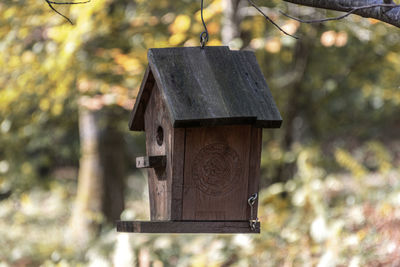 Low angle view of birdhouse on tree