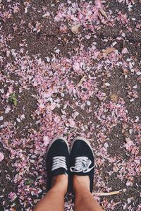 Low section of woman standing on pink flower