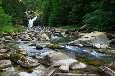 River flowing through rocks in forest