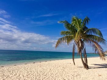 Playa ancon, trinidad, cuba 