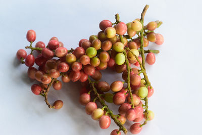 High angle view of grapes against white background