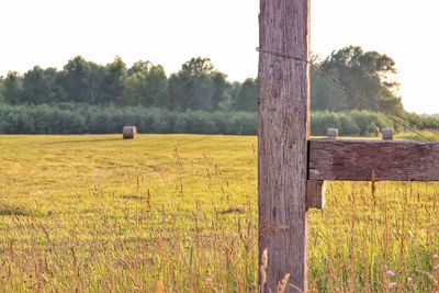 View of wooden post in field