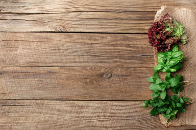 Gardening and healthy eating concept with different herbs and salad leaves on wooden background