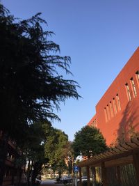 Low angle view of trees against clear sky