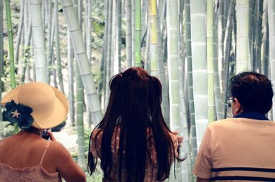 Rear view of people looking at bamboo grove