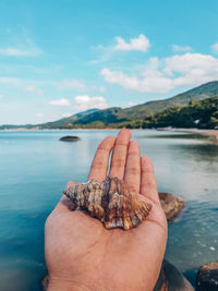 Cropped image of hand holding a sea against the sky