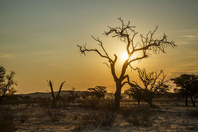 Scenic view of sunset