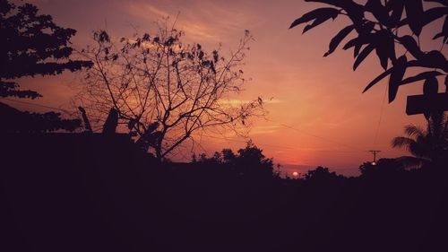 Silhouette trees against sky during sunset