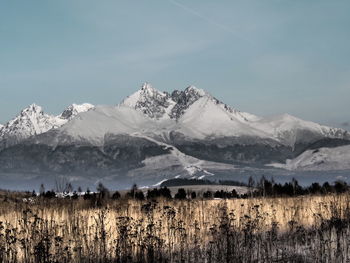 Scenic view of snow covered mountains