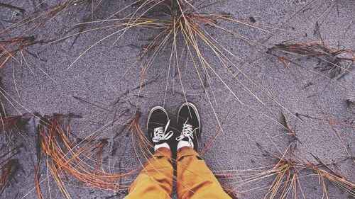 Low section of person standing on plant