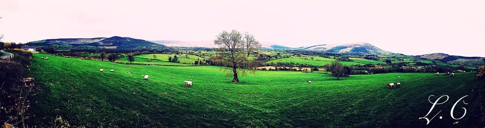 Scenic view of landscape against sky