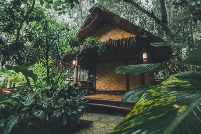 Low angle view of house and trees against building